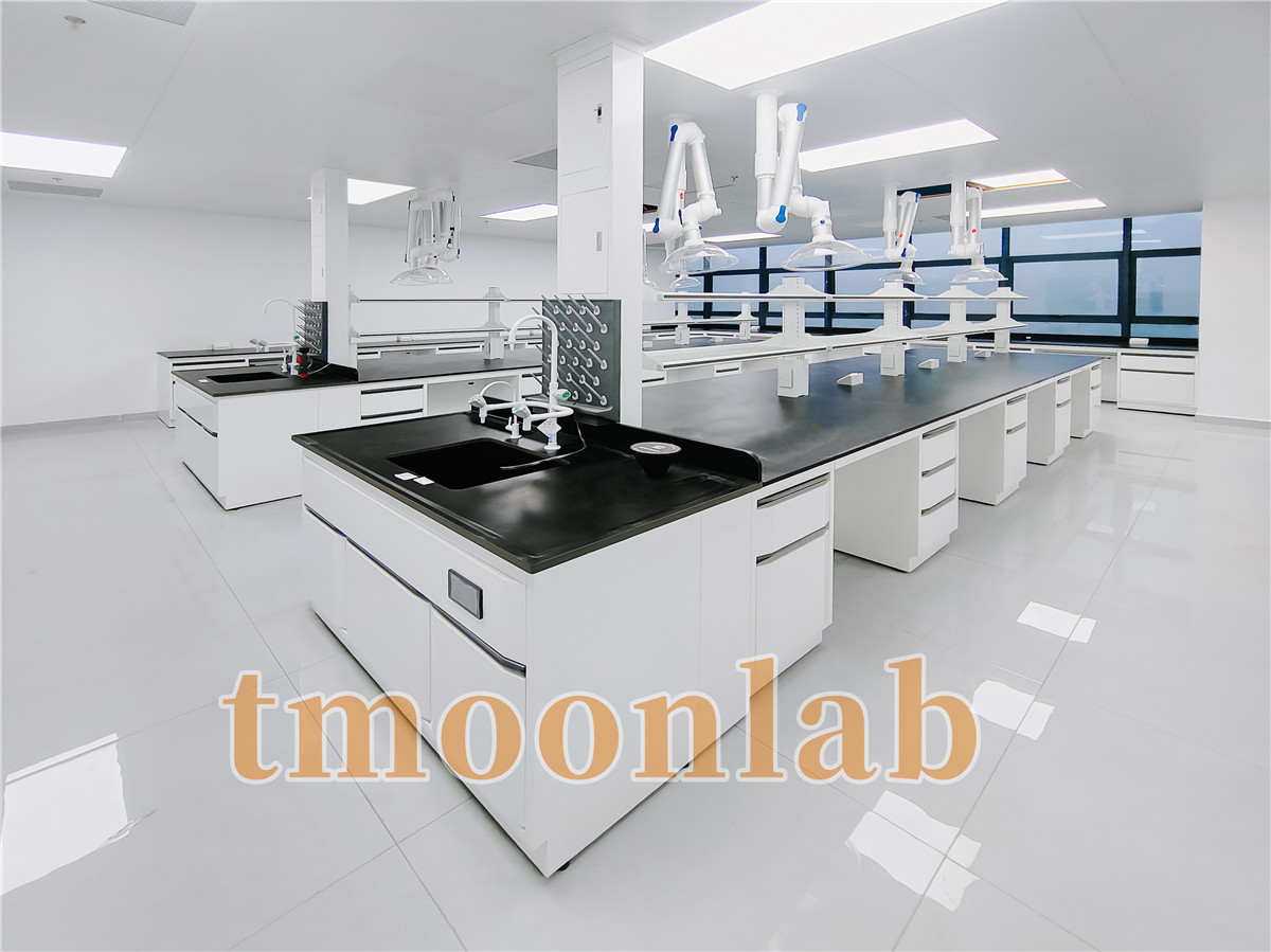 tmoonlab