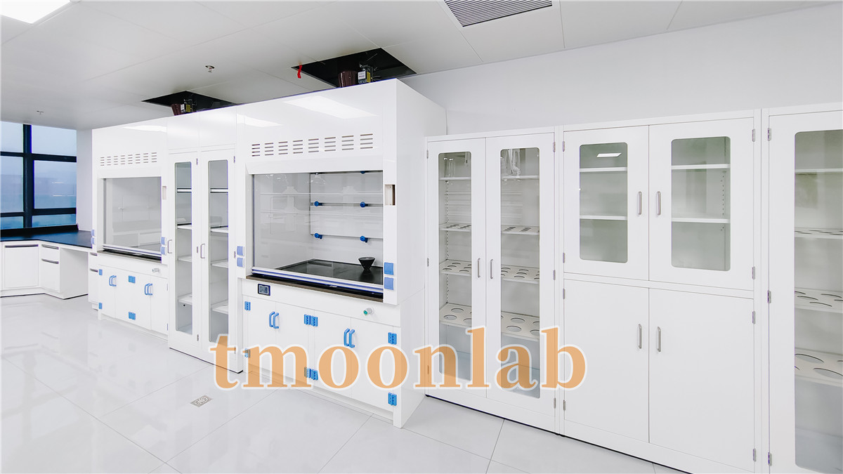 tmoonlab