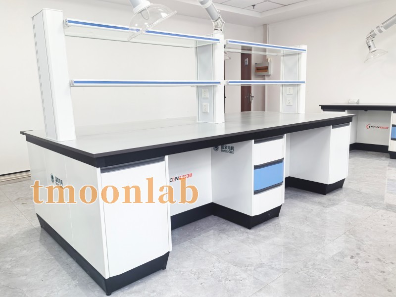 tmoonlab